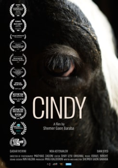 Watch Full Movie Cindy - Watch Trailer