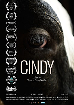 Watch Full Movie Cindy - Watch Trailer