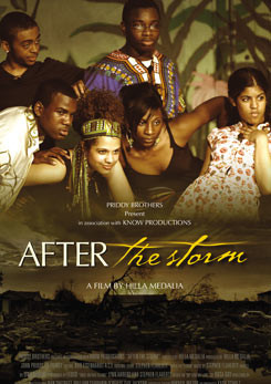 Watch Full Movie After The Storm - Watch Trailer