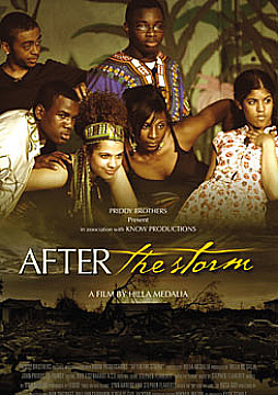 Watch Full Movie After The Storm - Watch Trailer