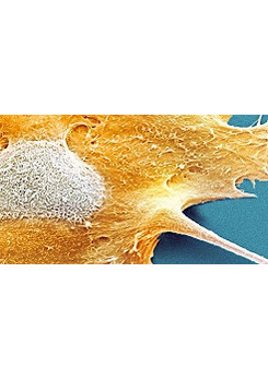 Watch Full Movie On DNA Mutation - Watch Trailer