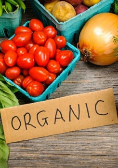 Watch Full Movie Organic food - hype or hope? - Watch Trailer
