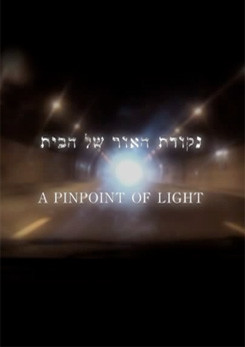 Watch Full Movie A Pinpoint of Light - Watch Trailer